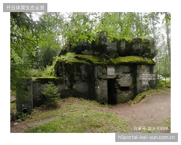 纳格尔斯曼激活锋线B计划，乌达夫用高效跑位和终结能力撕裂芬兰防线